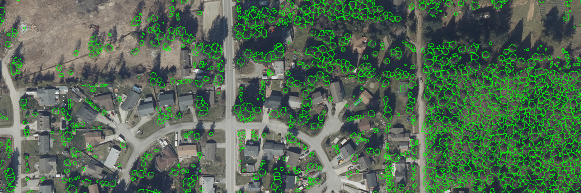 Urban forest banner